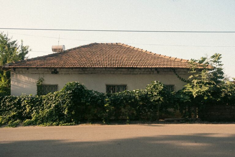 Nasljedstvo i imovina u domovini kad živite vani
